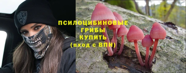 трава Михайловск