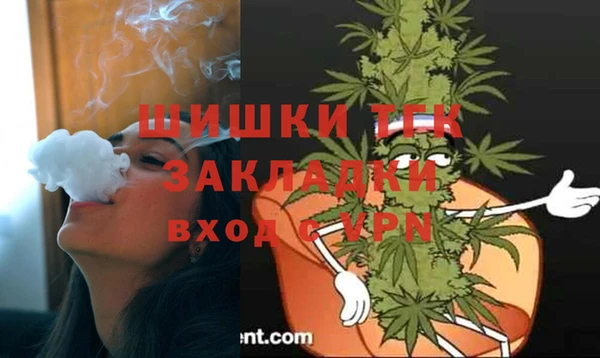 ГАЛЛЮЦИНОГЕННЫЕ ГРИБЫ Медногорск