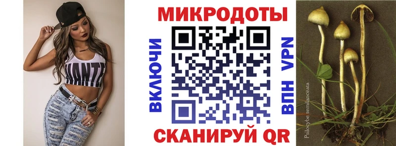 Псилоцибиновые грибы GOLDEN TEACHER Нижний Ломов
